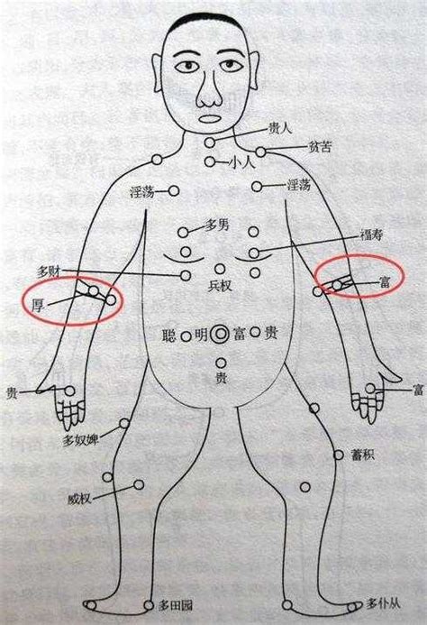 胎記手臂|胎記位置含義——肚臍、鎖骨、手臂、大腿、背部、胳膊、額頭。